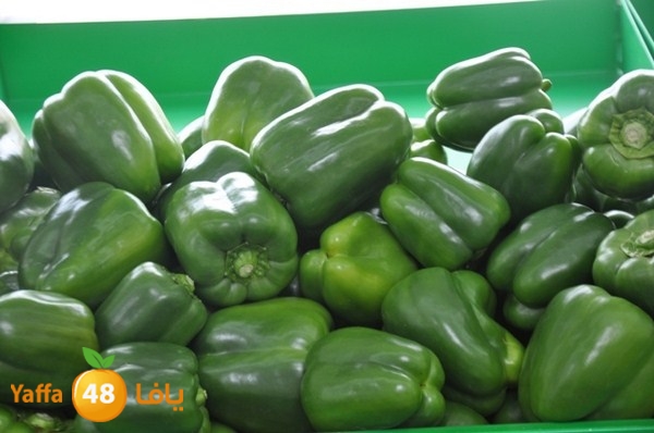 souq yaffa 0123 (5).JPG